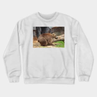 Teddy Bear At Rest Crewneck Sweatshirt